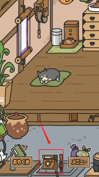 狗狗的使命安卓版