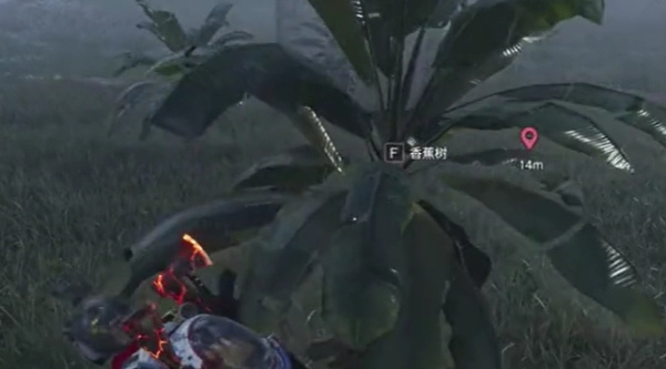 七日世界蜜蛋彈彈樂如何獲得-七日世界蜜蛋彈彈樂獲得方法分享