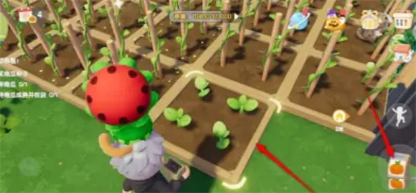 心動小鎮(zhèn)南瓜如何種植-心動小鎮(zhèn)南瓜種植方法一覽