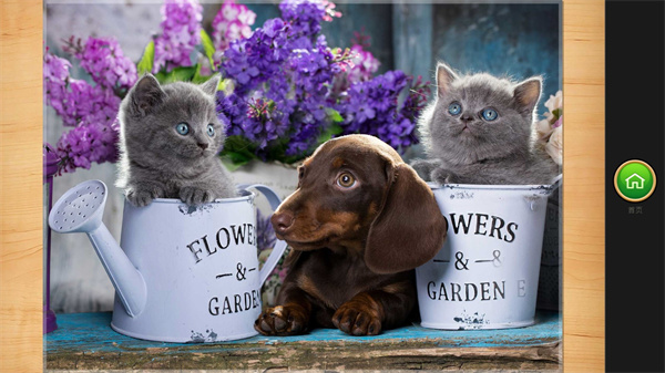 魔法拼圖安卓版 魔法拼圖安卓版