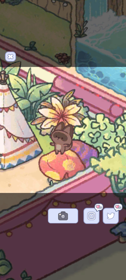 治愈口袋中文版 治愈口袋中文版