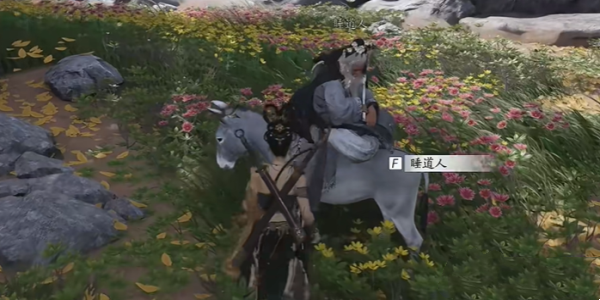 燕云十六聲道人夢(mèng)驢奇遇任務(wù)如何完成-道人夢(mèng)驢奇遇任務(wù)攻略