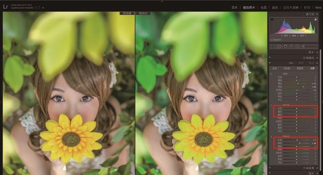 lightroom怎么調(diào)局部光亮-lightroom調(diào)局部光亮的方法