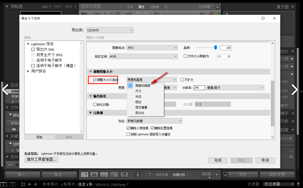 lightroom如何批量調整圖像大小和分辨率-lightroom批量調整圖像大小和分辨率的步驟