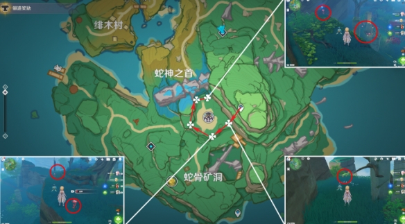 原神4.5血斛采集地點在哪-原神4.5血斛采集路線一覽 原神4.5血斛采集地點在哪-原神4.5血斛采集路線一覽