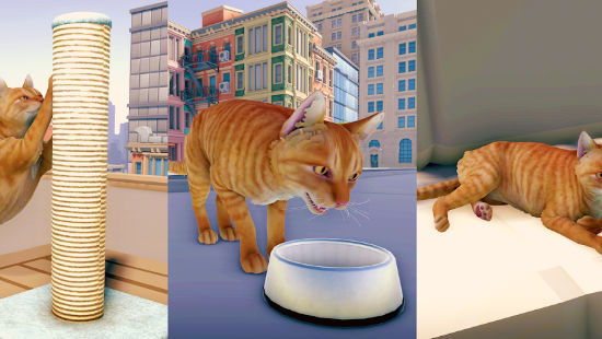 貓咪歷險記游戲下載-貓咪歷險記安卓版下載v1.1 貓咪歷險記游戲下載-貓咪歷險記安卓版下載v1.1