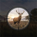 狩獵狙擊手內(nèi)置菜單