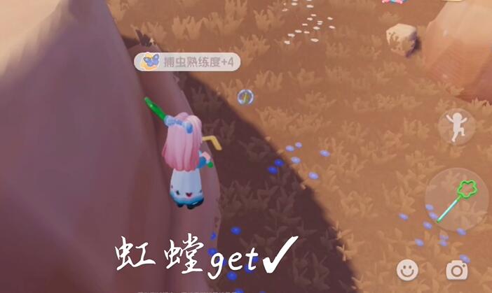 心動小鎮如何捕蟲-心動小鎮捕蟲攻略 心動小鎮如何捕蟲-心動小鎮捕蟲攻略