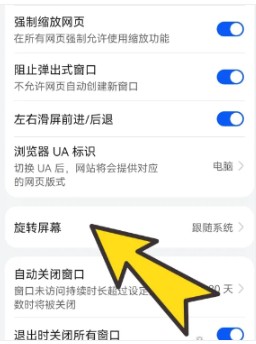 啵啵瀏覽器無國界黑色版
