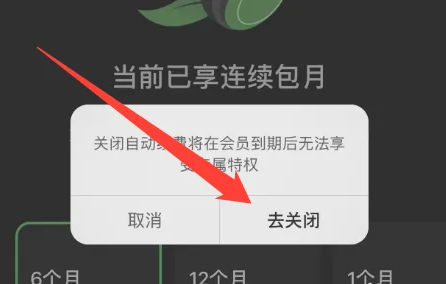 汽水音樂HD車機版