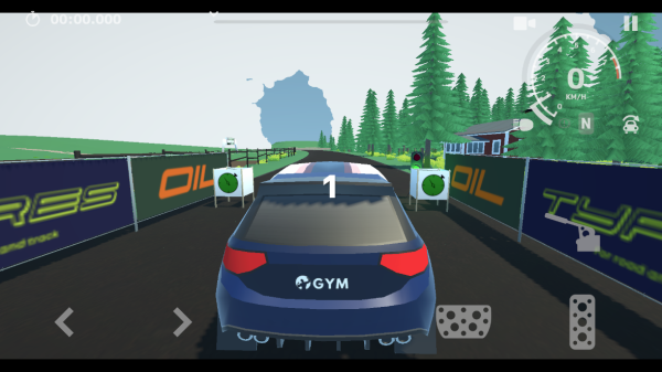 N3拉力賽無限金幣版