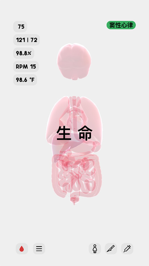 生命人體模擬器2025