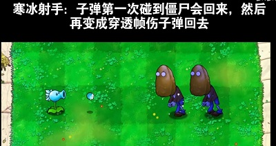 植物大戰僵尸吃席版