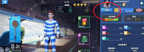 決戰羽毛球無限鉆石最新版