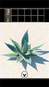 海上荒島逃生游戲最新版