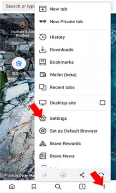 Brave瀏覽器中文版下載-Brave瀏覽器安卓下載v1.73.97