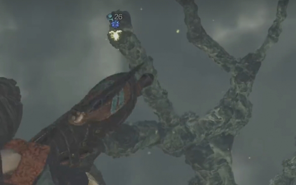 怪物獵人荒野營地在哪-怪物獵人荒野營地位置攻略