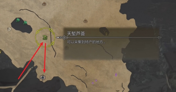 怪物獵人荒野營地在哪-怪物獵人荒野營地位置攻略