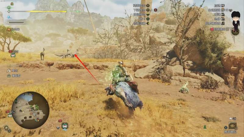 怪物獵人荒野眠草在哪里刷-怪物獵人荒野速刷眠草攻略 怪物獵人荒野眠草在哪里刷-怪物獵人荒野速刷眠草攻略