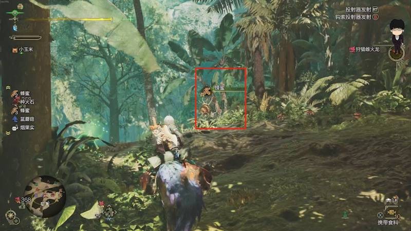 怪物獵人荒野怎么速刷麻痹菇-怪物獵人荒野麻痹菇速刷方法分享