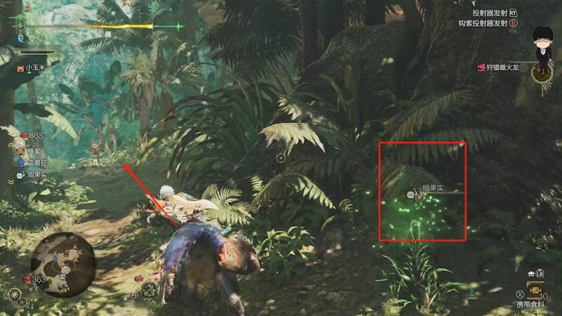 怪物獵人荒野怎么速刷麻痹菇-怪物獵人荒野麻痹菇速刷方法分享