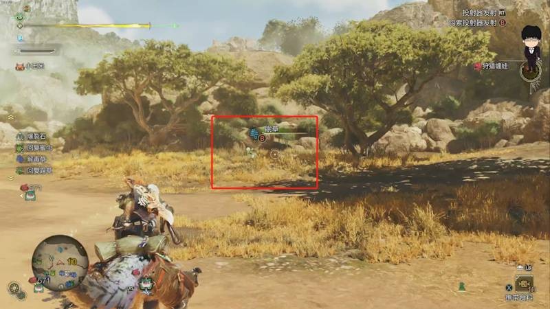 怪物獵人荒野眠草在哪里刷-怪物獵人荒野速刷眠草攻略 怪物獵人荒野眠草在哪里刷-怪物獵人荒野速刷眠草攻略