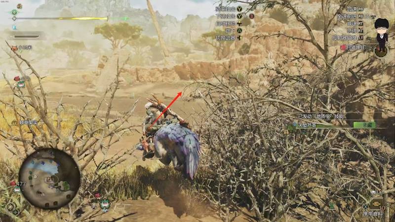 怪物獵人荒野眠草在哪里刷-怪物獵人荒野速刷眠草攻略 怪物獵人荒野眠草在哪里刷-怪物獵人荒野速刷眠草攻略