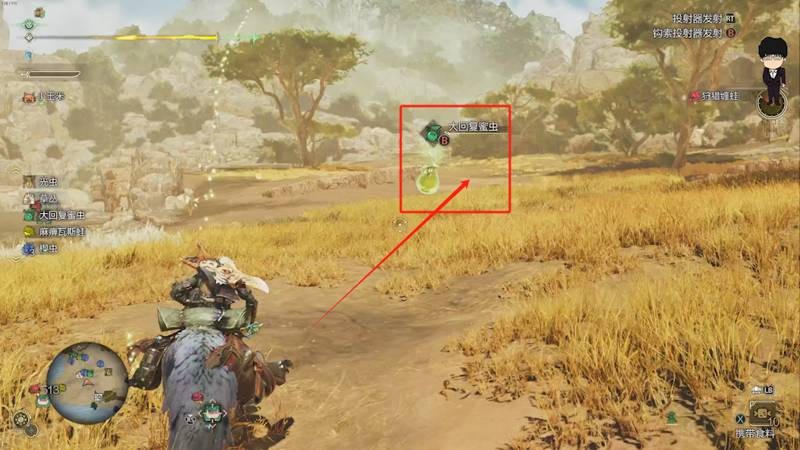 怪物獵人荒野眠草在哪里刷-怪物獵人荒野速刷眠草攻略 怪物獵人荒野眠草在哪里刷-怪物獵人荒野速刷眠草攻略