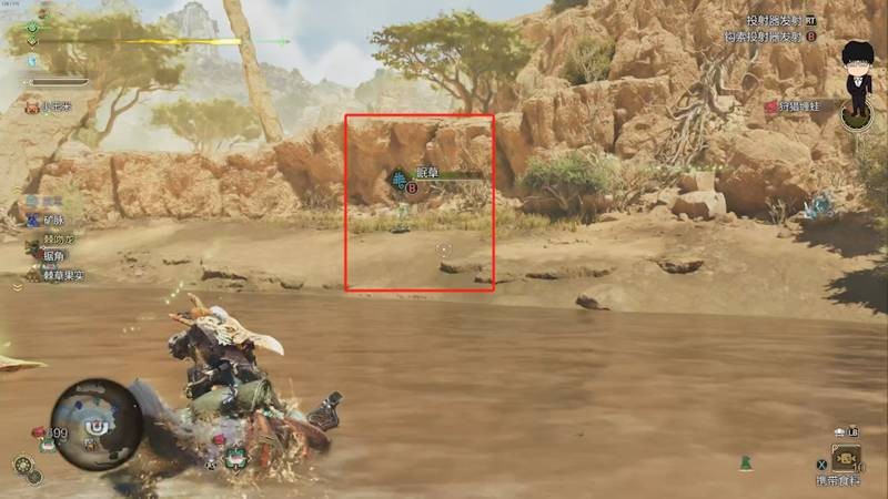 怪物獵人荒野眠草在哪里刷-怪物獵人荒野速刷眠草攻略 怪物獵人荒野眠草在哪里刷-怪物獵人荒野速刷眠草攻略