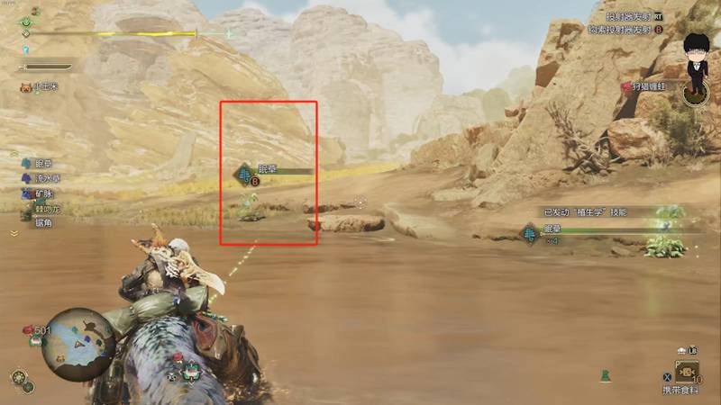 怪物獵人荒野眠草在哪里刷-怪物獵人荒野速刷眠草攻略 怪物獵人荒野眠草在哪里刷-怪物獵人荒野速刷眠草攻略