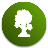 tmodloader模組瀏覽器