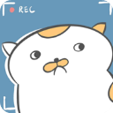 主播和貓的故事游戲無限金幣版