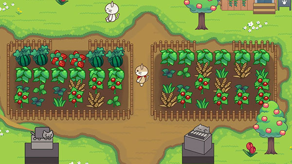 貓咪森林游戲中文版