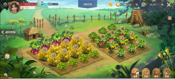 新莊園時代無限金幣鉆石版 新莊園時代無限金幣鉆石版