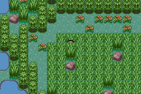 口袋妖怪格查爾漢化版