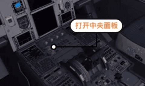 專業模擬飛行10手機版