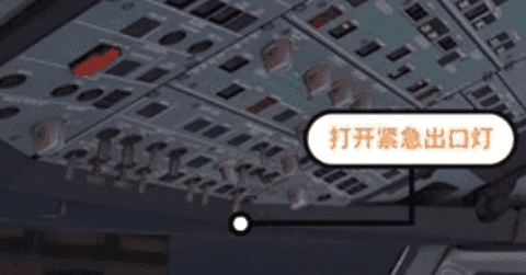 專業模擬飛行10手機版