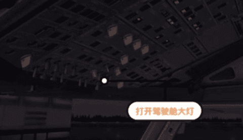 專業模擬飛行10手機版