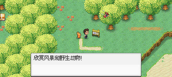 超進化精靈2折相思 超進化精靈2折相思