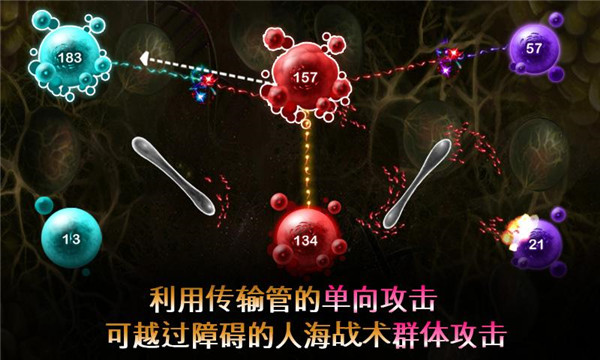 繁殖戰(zhàn)爭(zhēng)2中文版