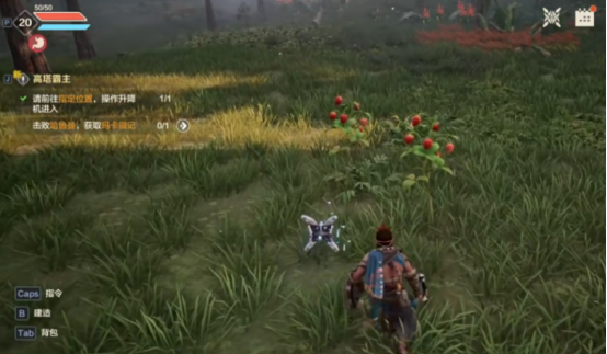 荒野起源飾品獲取途徑有哪些-荒野起源飾品獲取方法分享