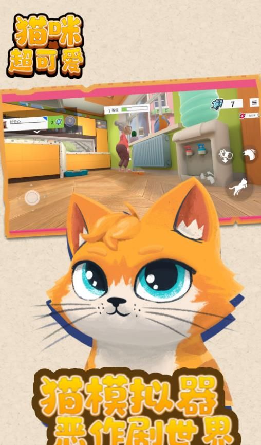 貓咪超可愛(ài)