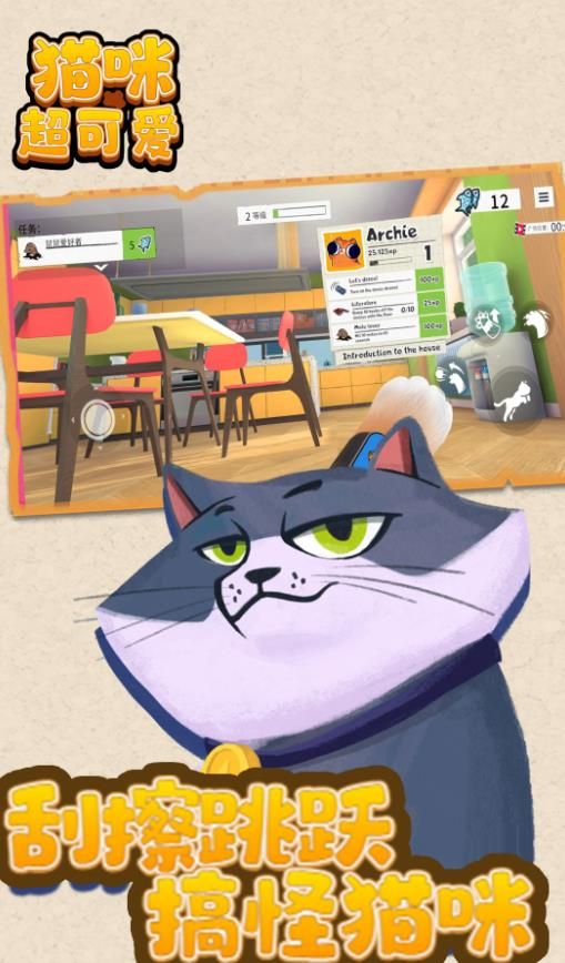 貓咪超可愛(ài)