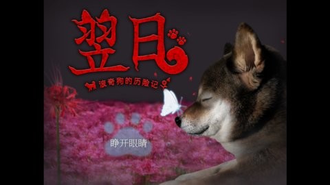 翌日波奇狗的歷險記