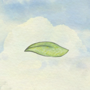 風(fēng)子游戲無(wú)廣告