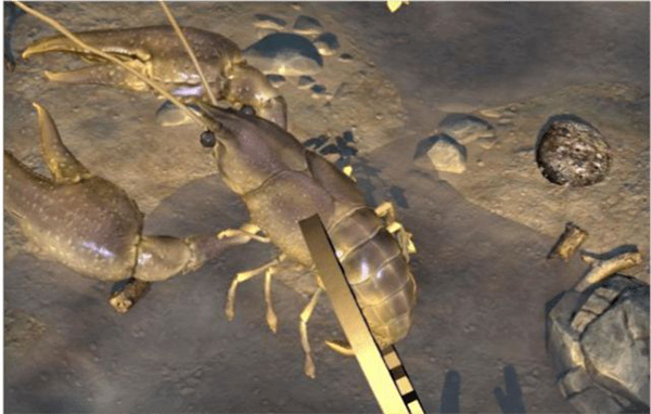 趕海王游戲無限體力無限金幣