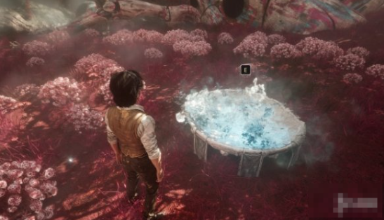 光與影：33號遠征隊