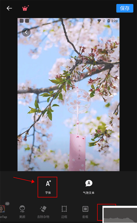 專業照片編輯器