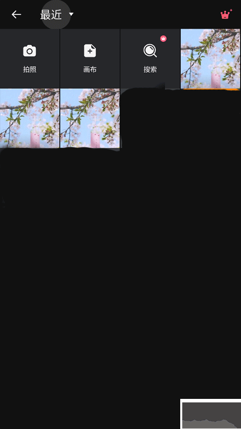 專業照片編輯器