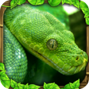 蟒蛇模擬器中文版